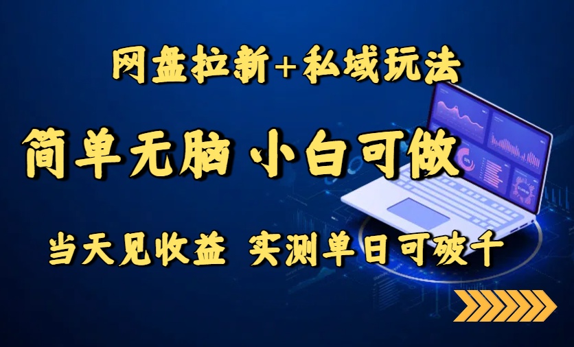 网盘拉新+私域玩法，简单无脑，小白可做，当天见收益，实测单日可破千-青年网赚