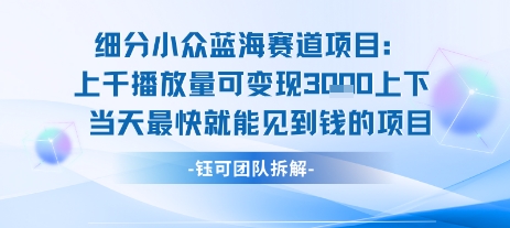小众蓝海赛道项目：当天变现1k+适合新手操作 +适合长期玩-青年网赚