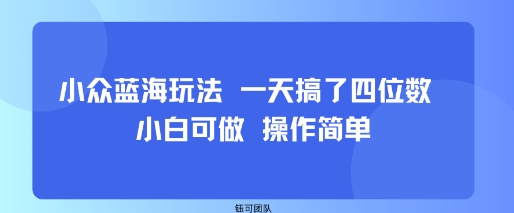 小众蓝海玩法 一天搞了四位数 小白可做 操作简单-青年网赚