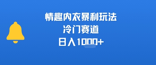 情趣内衣暴利玩法，冷门赛道，日入1k+-青年网赚