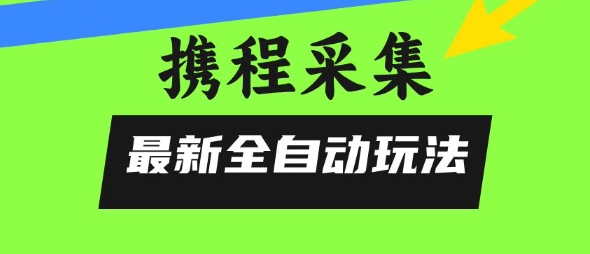 携程信息采集全自动玩法，0风控，无脑开干【揭秘】-青年网赚