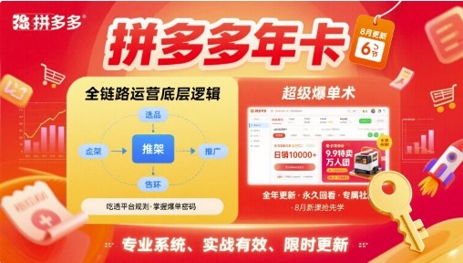 拼多多年卡【8月更新6节】拼多多全链路运营底层逻辑，超级爆单术-青年网赚