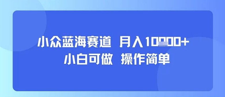 小众蓝海赛道，小白可做，操作简单，每天30分钟，月入1W+-青年网赚