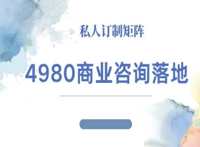 4980商业咨询师落地课程-ip运营高客单教程-青年网赚