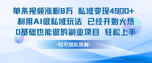 单条视频私域变现4.9k+利用AI做私域玩法 已经开始火热0基础也能做的副业项目轻松上手-青年网赚