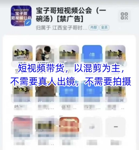 宝子哥头部团队短视频带货，以混剪为主，不需要真人出镜，不需要拍摄【更新11月】-青年网赚