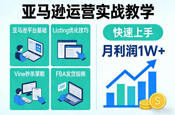 亚马逊运营实战教学，亚马逊平台+Listing优化+Vine秒杀+FBA发货等，快速上手，实现店铺月利润1W-青年网赚