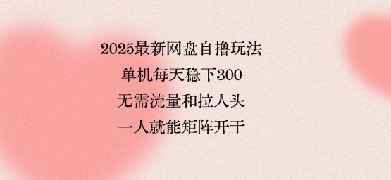 2025最新网盘自撸玩法，单机每天稳下3张，无需流量和拉人头，一个人就可轻松矩阵，全网独一份【揭秘】-青年网赚