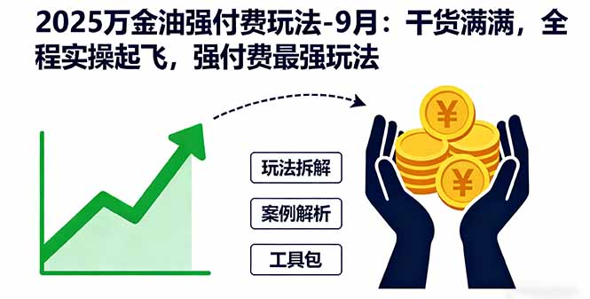 2025万金油强付费玩法-9月：干货满满，全程实操起飞，强付费最强玩法-青年网赚