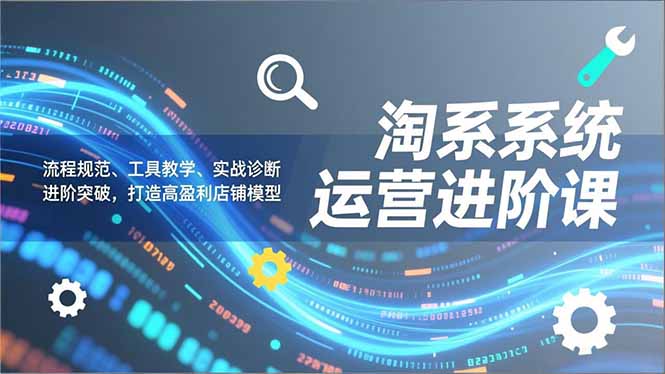 淘系系统运营进阶课2.0，流程规范、工具教学、实战诊断，进阶突破，打造高盈利店铺模型-青年网赚