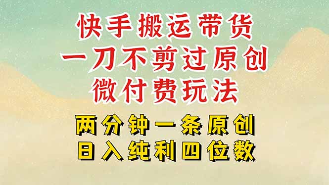 快手黑科技搬运带货，一刀不剪过原创，微付费投流玩法，轻松日入四位数…-青年网赚