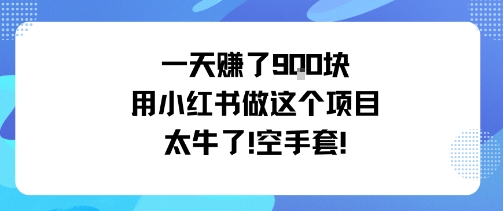 一天挣了9张用小红书做这个项目太牛了，空手套-青年网赚