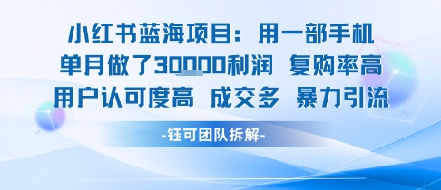 小红书蓝海项目，一部手机单月做了3W利润，小白也能月入过1W用户认可度高成交多-青年网赚