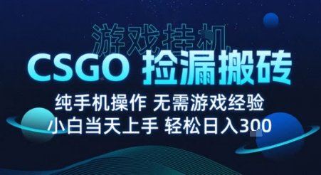 8月最新游戏搬砖，CSGO纯挂G，不需要玩游戏，实现真挂G，月入1W+【揭秘】-青年网赚