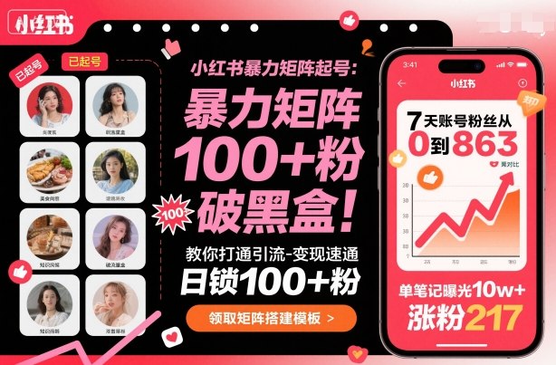 小红书暴力矩阵起号，教你打通引流-变现速通，日锁100+粉，破流量黑盒-青年网赚