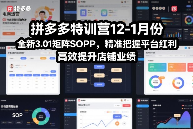 拼多多特训营12-1月份，全新3.01矩阵Sop，精准把握平台红利，高效提升店铺业绩-青年网赚