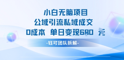 小白无脑项目公域引流私域成交0成本单日变现680米-青年网赚