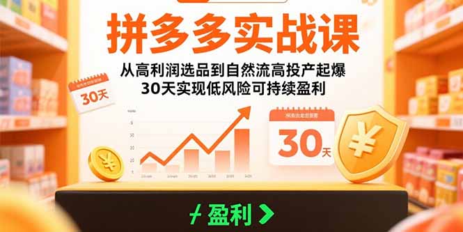 拼多多实战课：从高利润选品到自然流高投产起爆 30天实现低风险可持续盈利-青年网赚