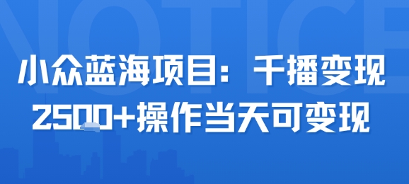小众蓝海项目，千播变现2.5k+操作当天可变现-青年网赚
