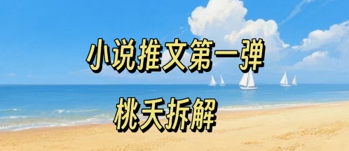 小说推文项目操作全流程第一弹，0粉就能做，门槛低非常适合新手-青年网赚