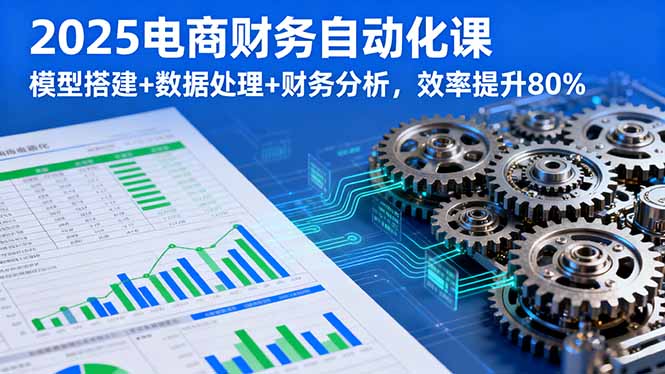 2025电商财务自动化课，模型搭建+数据处理+财务分析，效率提升80%-青年网赚