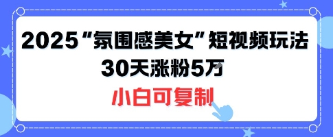 不露脸也能火！2025“氛围感美女”短视频玩法，30天涨粉5W小白可复制-青年网赚