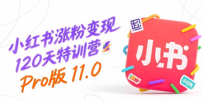 小红书涨粉变现120天特训营Pro版11.0：从0到1掌握平台运营,内容制作和变现-青年网赚