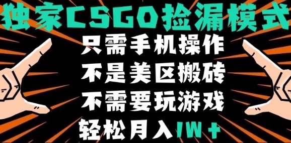 CSGO自动捡漏项目，最新独家玩法，不是美区搬砖，不需要了解和玩游戏，新手小白轻松月入1W+【揭秘】-青年网赚