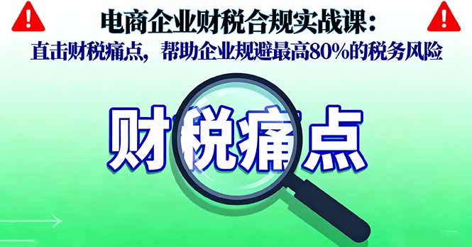 电商企业财税合规实战课，直击财税痛点，帮助企业规避最高80%的税务风险-青年网赚