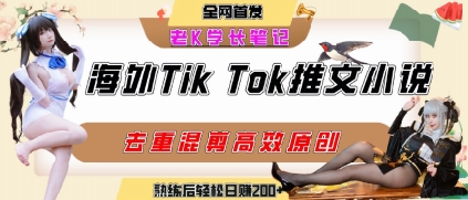 海外tiktok小说推文暴力项目，高停留率，高转化率，上手后一天搞顿饭钱不是问题-青年网赚