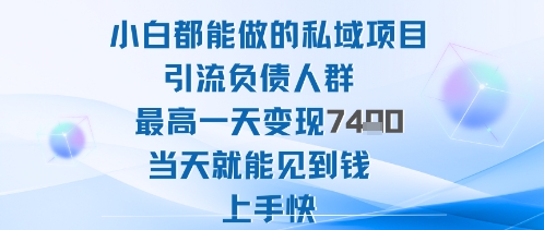 2025年小白都能做的私域项目引流负债人群最高一天变现1k+高变现难度低当天就能见到钱上手快-青年网赚