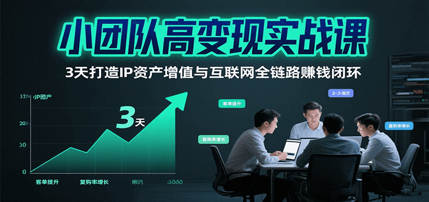 小团队高变现实战课，3天打造IP资产增值与互联网全链路赚钱闭环(第二期)-青年网赚