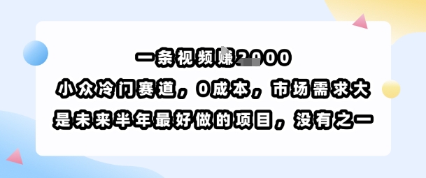 一条视频挣1k，小众冷门赛道，0成本，市场需求大，是未来半年最好做的项目，没有之一-青年网赚