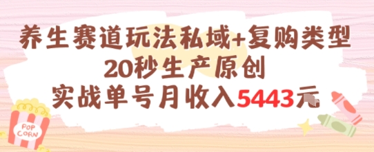 养生赛道玩法私域+复购类型，20秒生产原创实战单号月收入5k+-青年网赚