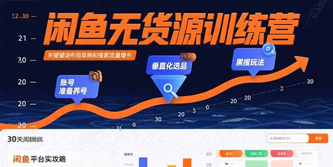 闲鱼无货源训练营：账号准备养号/垂直化选品/黑搜玩法，0基础30天盈利指南-青年网赚