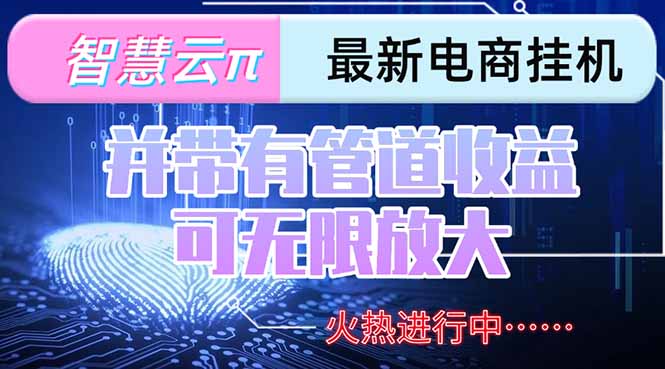 智慧云π电脑挂机单机每天收益300—500+ 并带有团队管道收益 可无限放大-青年网赚