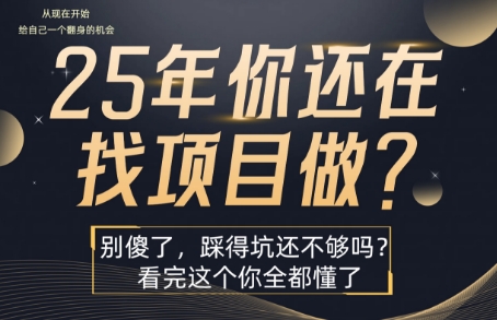 25年，你还在疯狂的找项目吗？别傻了，看完这个你都懂了【揭秘】-青年网赚