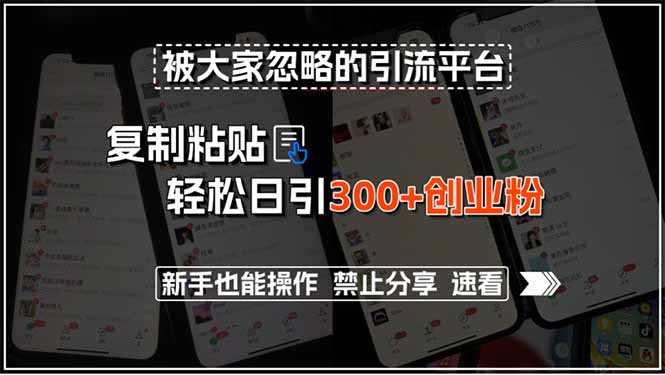 被大家忽略的引流平台，复制粘贴轻松日引300+创业粉，新手也能操作，禁…-青年网赚