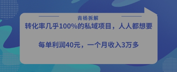 转化率最高的私域项目，每单利润40-50米，月入过1w-青年网赚