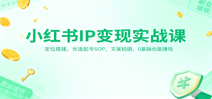 小红书IP变现实战课：定位搭建，光速起号SOP，文案拍摄，0基础也能赚钱-青年网赚