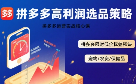 拼多多选品暴利技术实战课，拼多多高利润选品策略，拼多多限时低价标签秘诀-青年网赚
