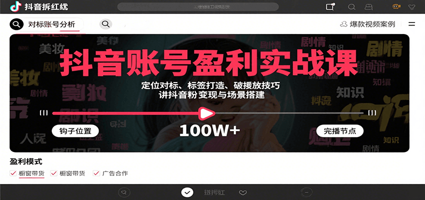 抖音账号盈利实战课，定位对标、标签打造、破播放技巧，讲涨粉变现与场景搭建-青年网赚