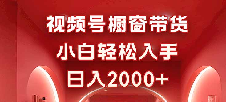 视频号橱窗带货，小白轻松入手，日入2000+-青年网赚