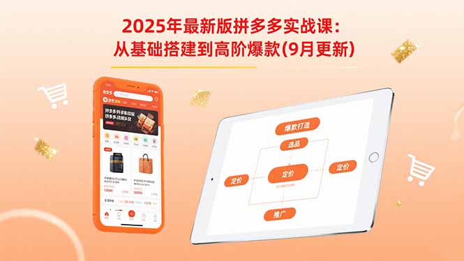 2025年最新版拼多多实战课：从基础搭建到高阶爆款(9月更新-青年网赚
