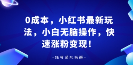 0成本，小红书最新玩法，小白无脑操作，快速涨粉变现-青年网赚