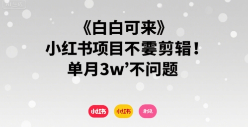小白可来 小红书项目不需要剪辑 单月3w不是问题-青年网赚