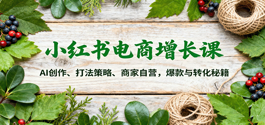 小红书电商增长课：AI创作、打法策略、商家自营，爆款与转化秘籍-青年网赚
