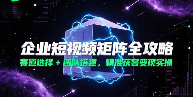 企业短视频矩阵全攻略，赛道选择+团队搭建，精准获客变现实操-青年网赚