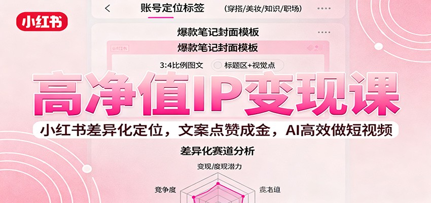 高净值IP变现课:小红书差异化定位,文案点赞成金, AI高效做短视频-青年网赚