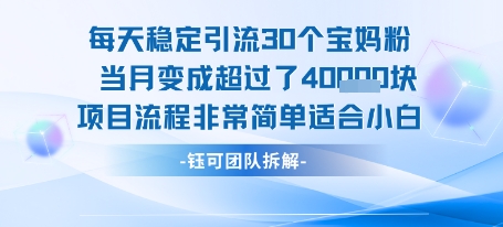每天稳定引流30个人 当月变成超过了4个W项目流程非常简单适合小白-青年网赚